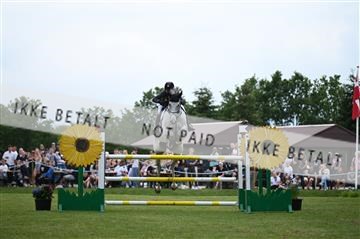 181719_AKL_6072.JPG