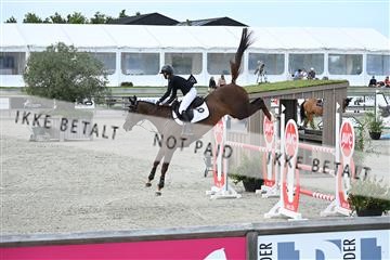 175268_akl_01_Z6D_9372.JPG