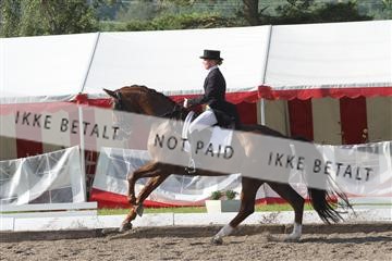 135676_sg_01_IMG_7452.JPG