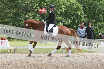 135518_ms_01_IMG_1756.JPG