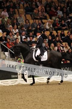 126407_abo_15_IMG_6179.JPG