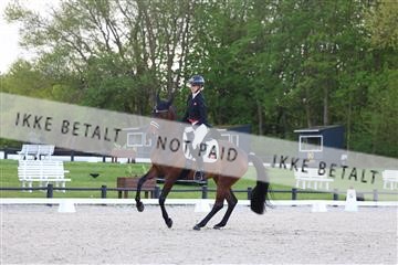 179330_avh_01_4929.JPG