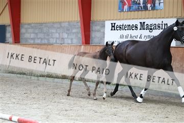 181868_mtp_03_R62_6003.JPG