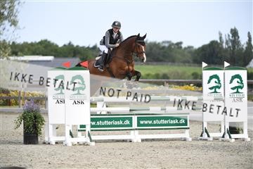169152_abo_01_D05_0512.JPG