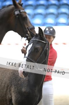 181754_kbb_01_Z094091.JPG