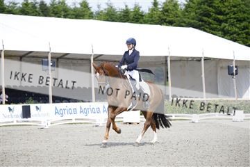 181449_kbb_02_6II1020.JPG