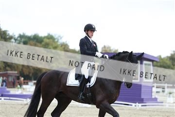 181923_mtp_04_R62_8922.JPG