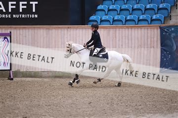 174047_kbb_01_R6II5396.JPG