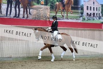 181887_mtp_02_R62_7772.JPG