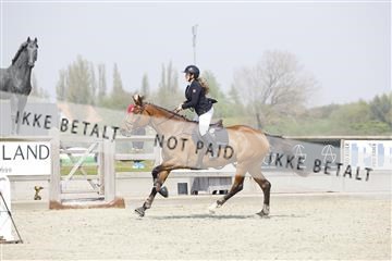 181332_kbb_02_6II6089.JPG