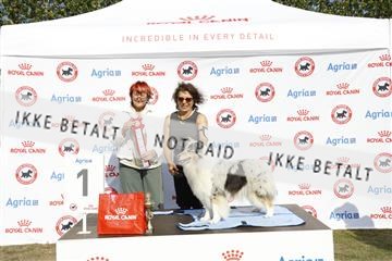 181848_kar_01__62_2623.JPG