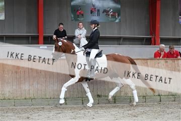 181867_mtp_01_R62_3939.JPG