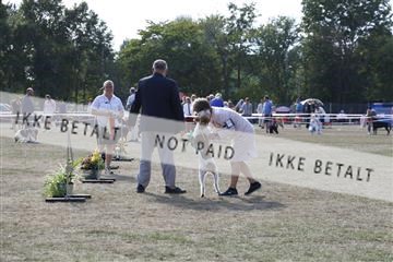 181848_kar_01__62_2555.JPG