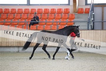 175139_bc_03_R62_4207.JPG
