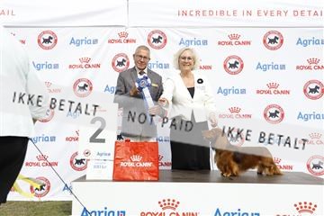 181848_kar_01__62_0961.JPG