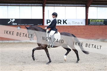 175442_kbb_01_R6II0160.JPG