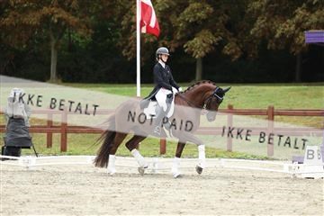 181923_mtp_03_R62_8005.JPG