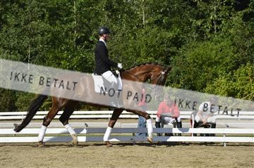 136195_abo_01__AB15591.JPG