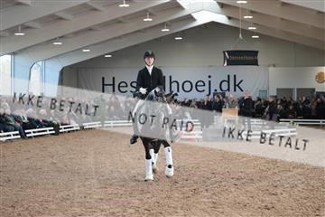 179022_kbb_01_R6II2489.JPG