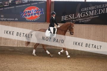 173782_mtp_01_3M5A6873.JPG
