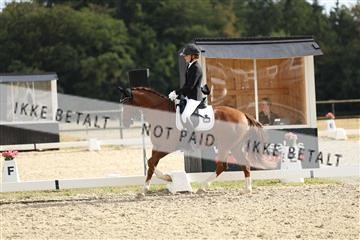 181894_mtp_03_R62_2825.JPG