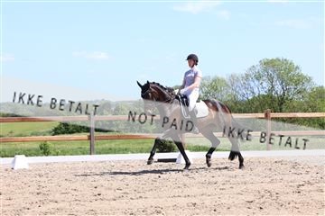 181449_bc_01R62_5740.JPG