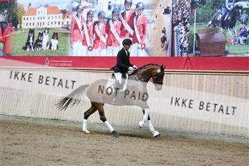 181887_mtp_02_R62_7637.JPG