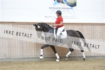 160111_nn_01__ESK1901.JPG