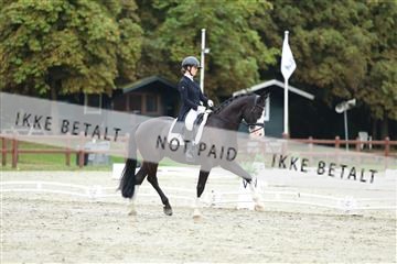 181923_mtp_01_R62_6752.JPG