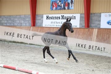 181868_mtp_03_R62_5757.JPG