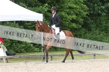 135518_ms_01_IMG_1502.JPG