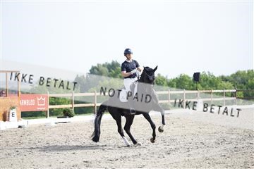 181449_kbb_02_6II1382.JPG