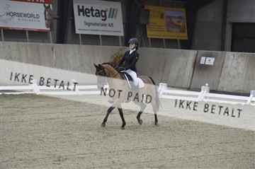 167169_kbb_1__KBB3591.JPG