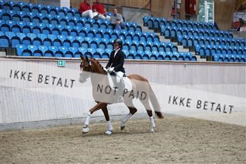 181887_mtp_05_R62_9523.JPG