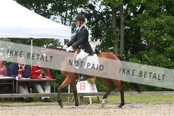 135518_ms_01_IMG_1467.JPG