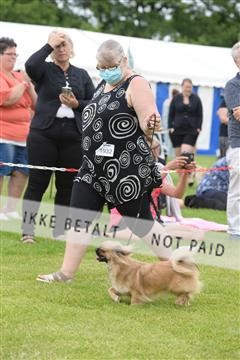 168981_jbr_01_JB3_1498.JPG
