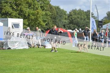 175267_bkn_01__JBR2450.JPG