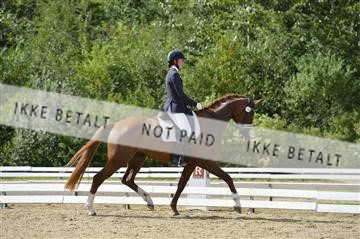 136195_abo_01__AB15989.JPG