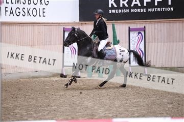 174047_kbb_01_R6II5563.JPG