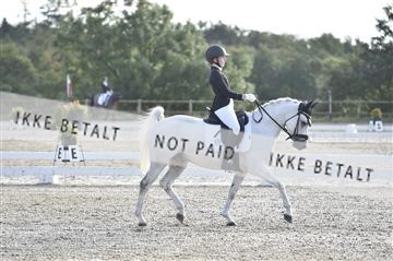 172717_kbb_01__D4S6977.JPG