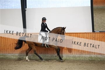175681_avh_01_R62_1058.JPG