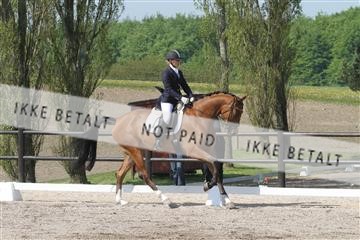 135086_sg_01_IMG_0013.JPG