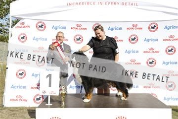 181848_kar_01__62_4050.JPG