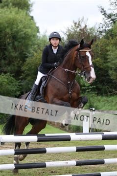 152528_nn_01_IMG_3389.JPG
