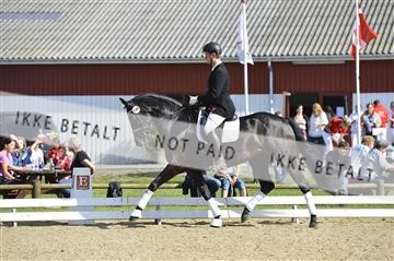 136195_abo_01__AB16319.JPG