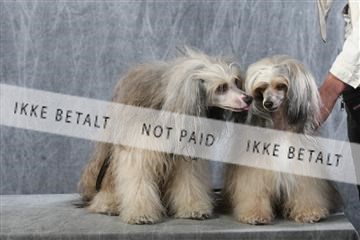 129608_le_ 01_0605.JPG