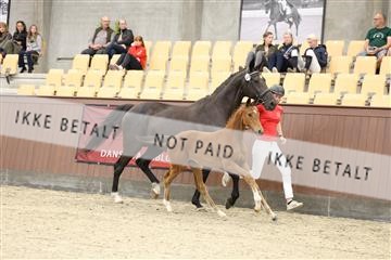 174806_jss_04_R6II3881.JPG