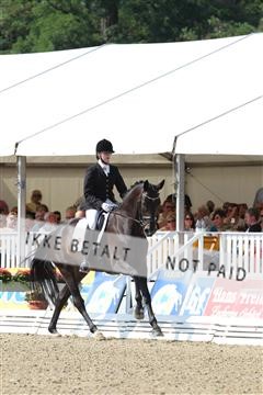125527_BC_07_IMG_9186.JPG
