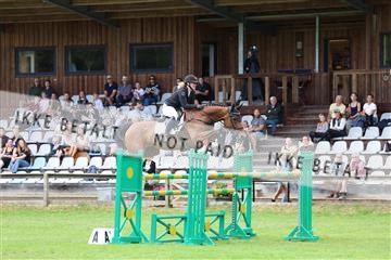 181805_mlm_02_R62_7164.JPG