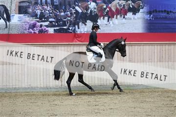 181887_mtp_04_R62_8561.JPG